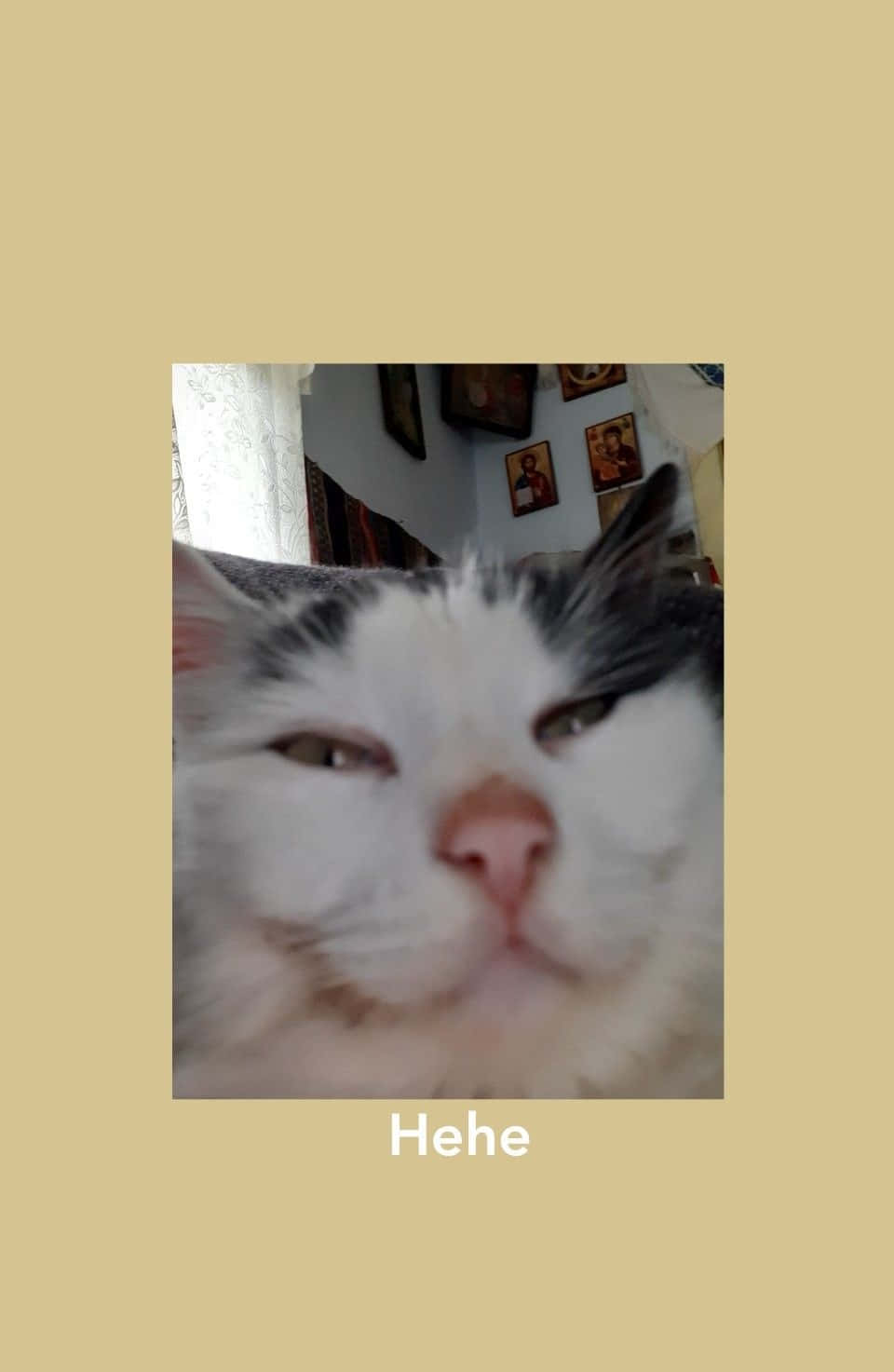 Gata de plecare, dar fără unde să merg! Fundal