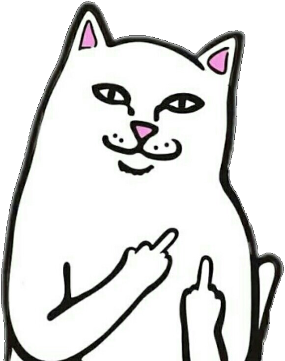 Gest Sassy Cat Meme Fundal