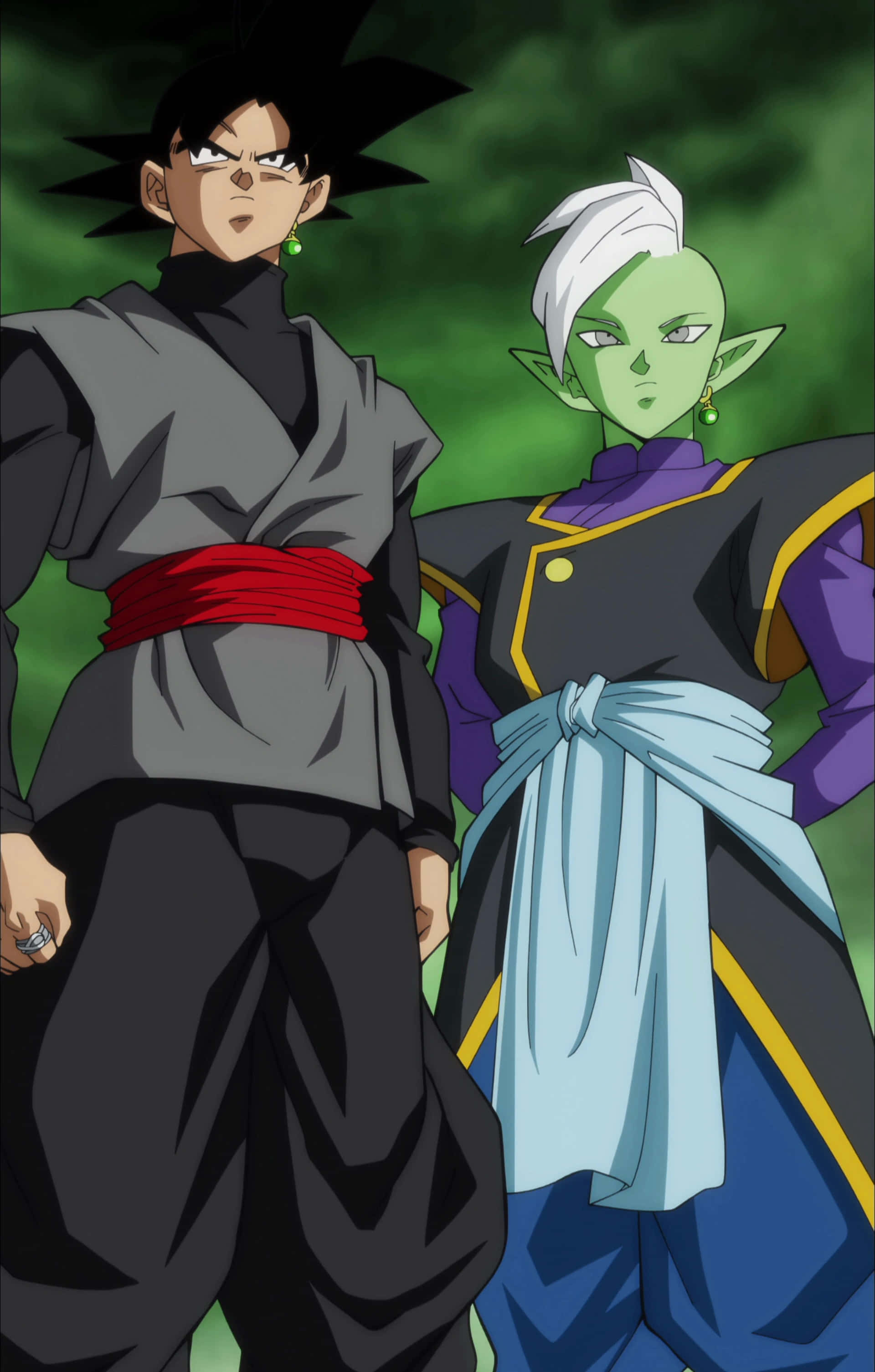 Goku și Zamasu Imagine Dragon Ball Super Fundal