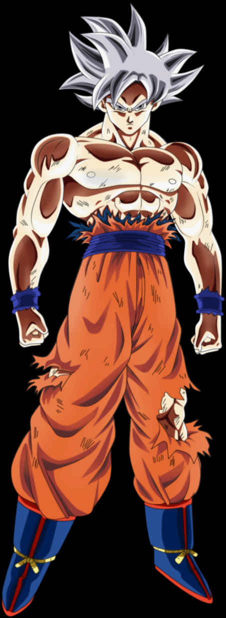 Goku Ultra Instinct Corpul Complet Fundal