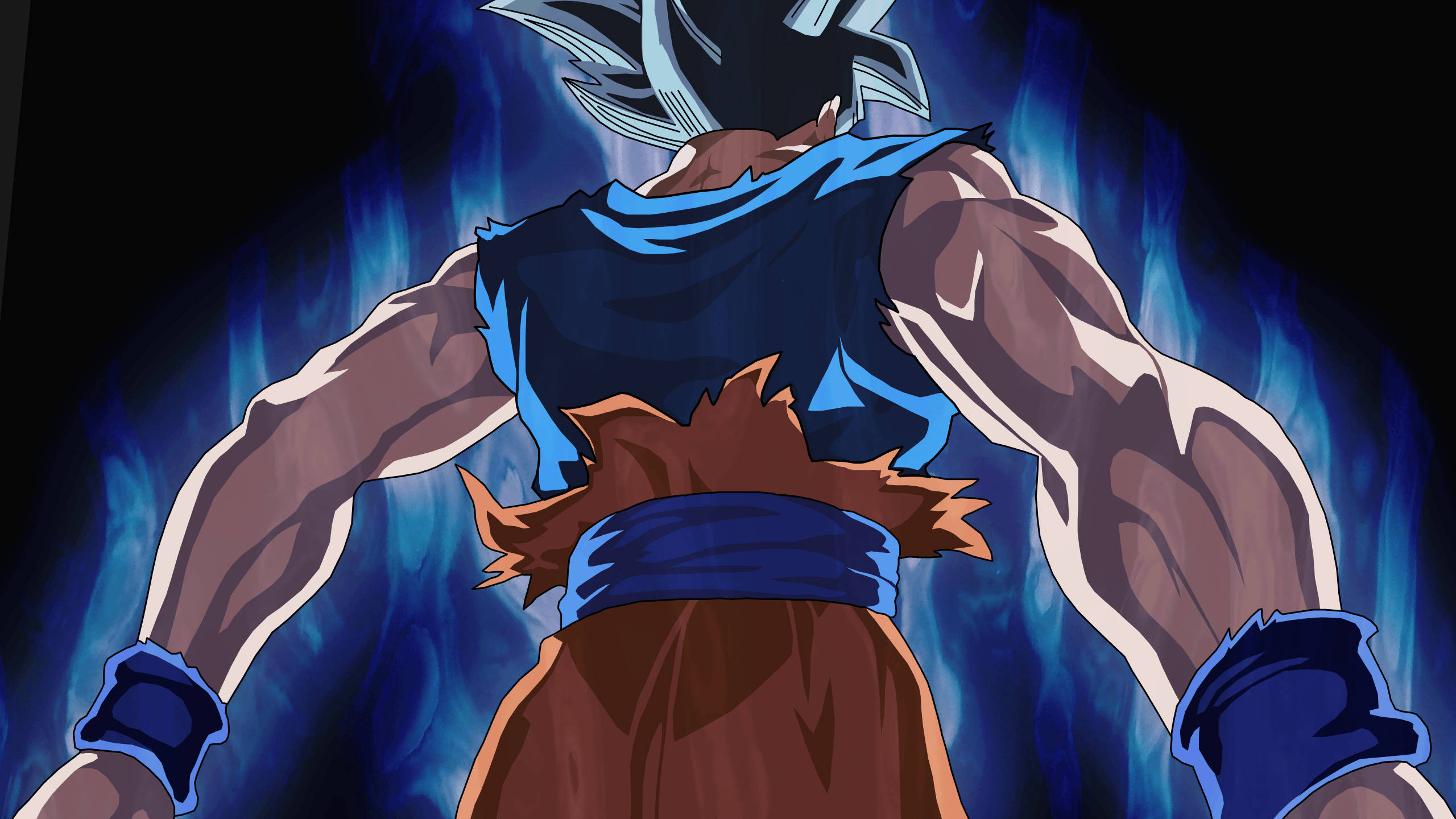 Goku Ultra Instinct Dragon Ball Estetic Fundal