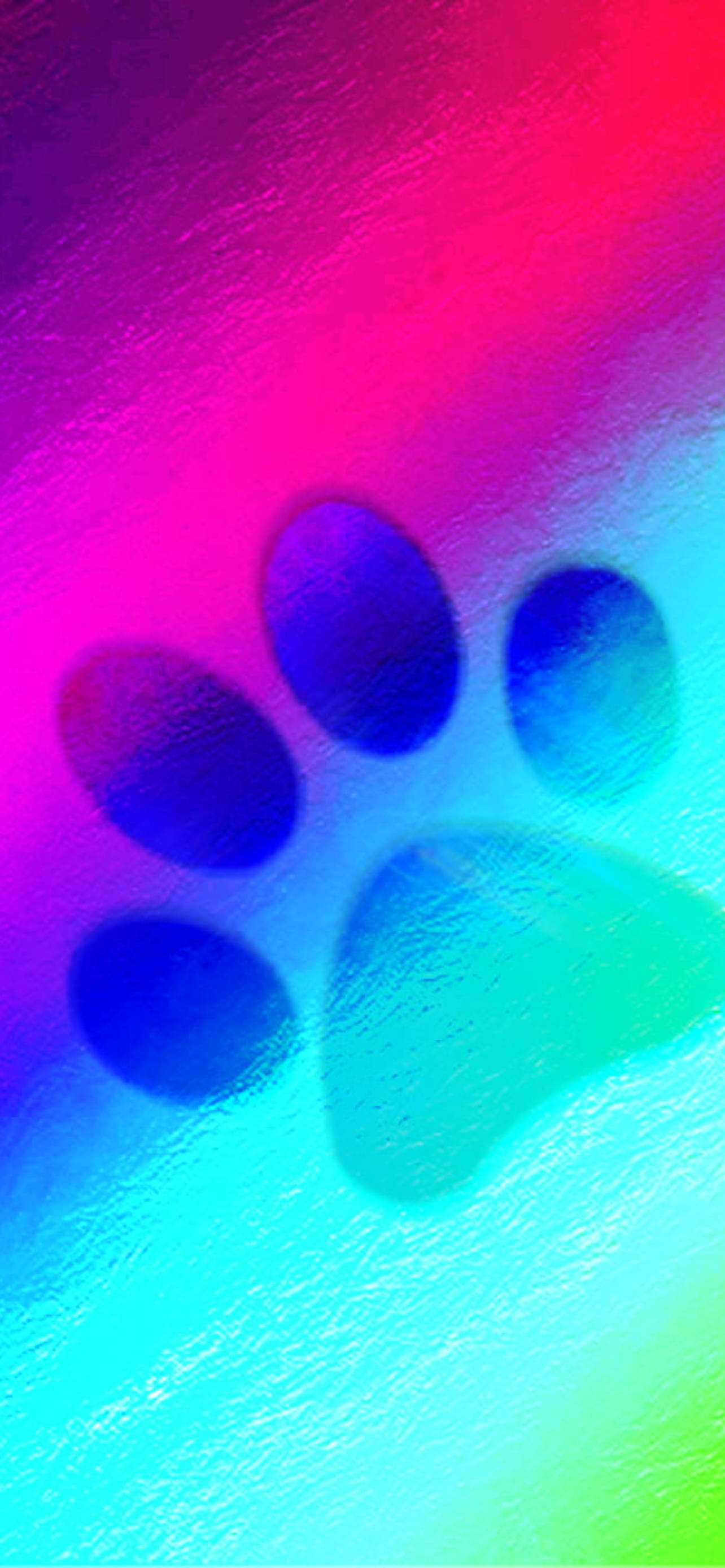 Gradient Rainbow Paw Print Fundal