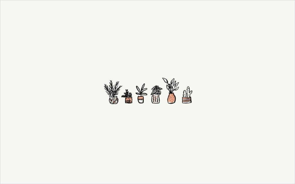 Grafică cu Plante în Ghiveci de pe Pinterest pentru Laptop Fundal