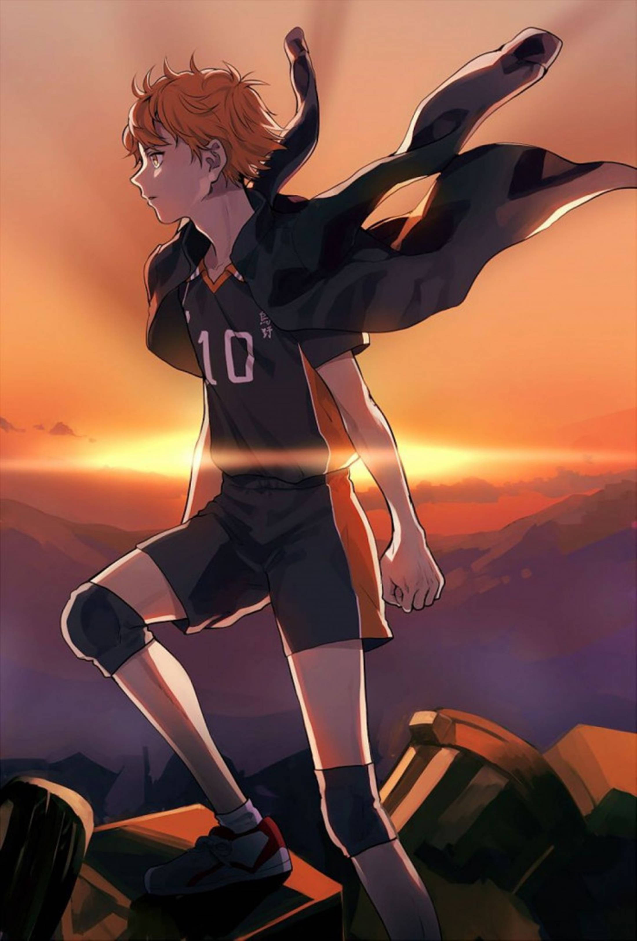 Haikyuu 4K Hinata Apus Fundal