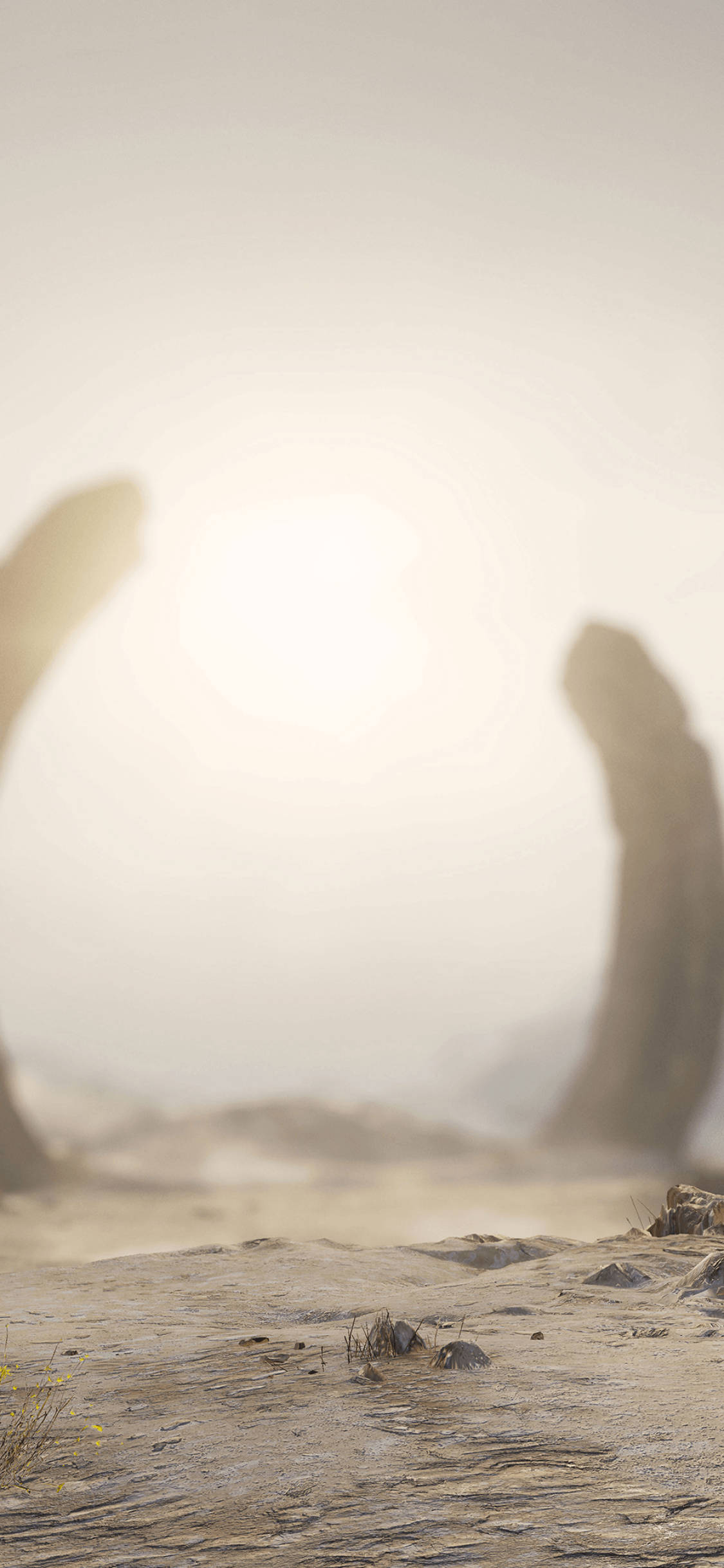 Halo Infinite Zeta Halo Fundal