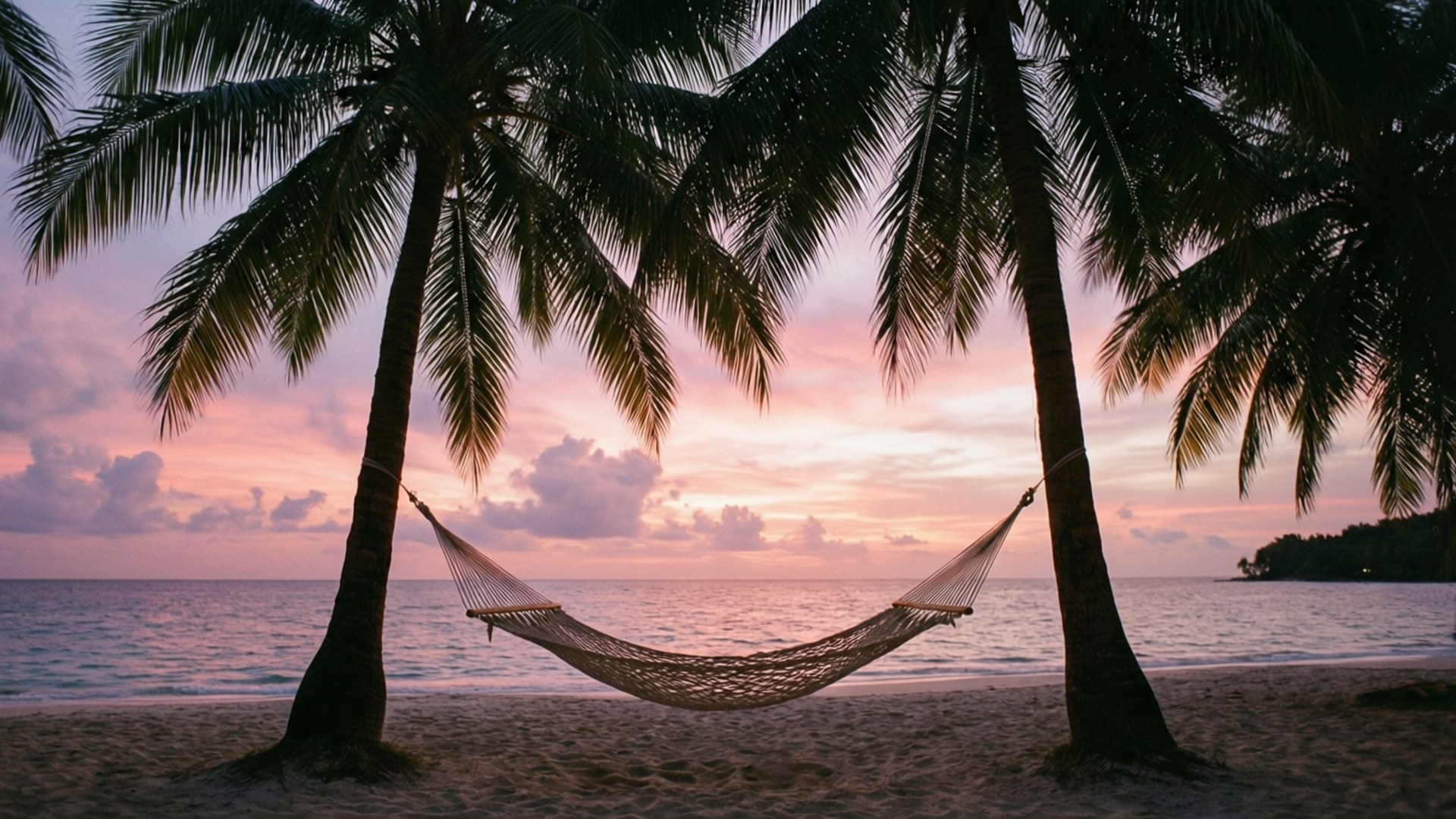 Hammock la apus între palmieri Fundal