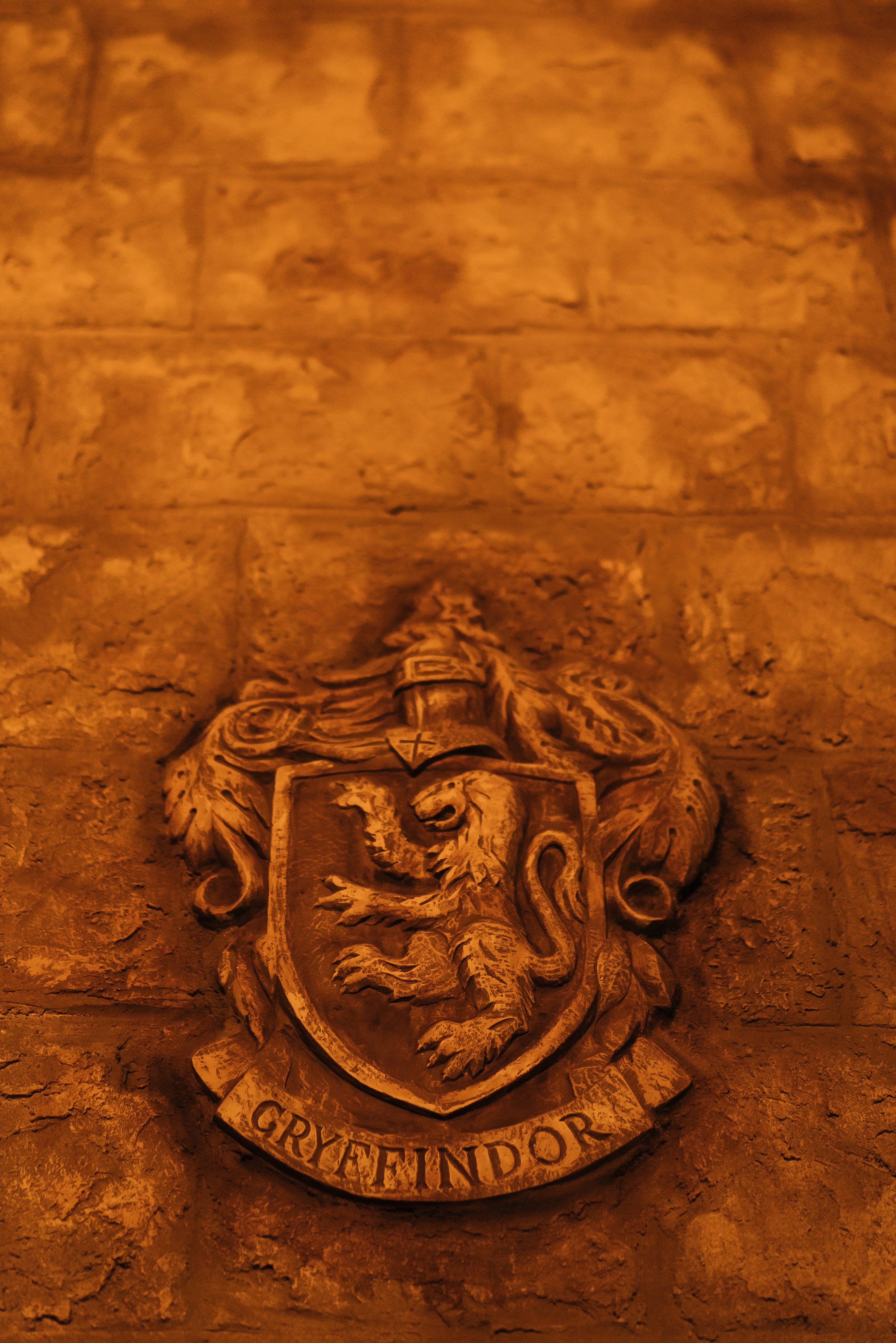 Harry Potter Estetică Sigla Gryffindor Fundal