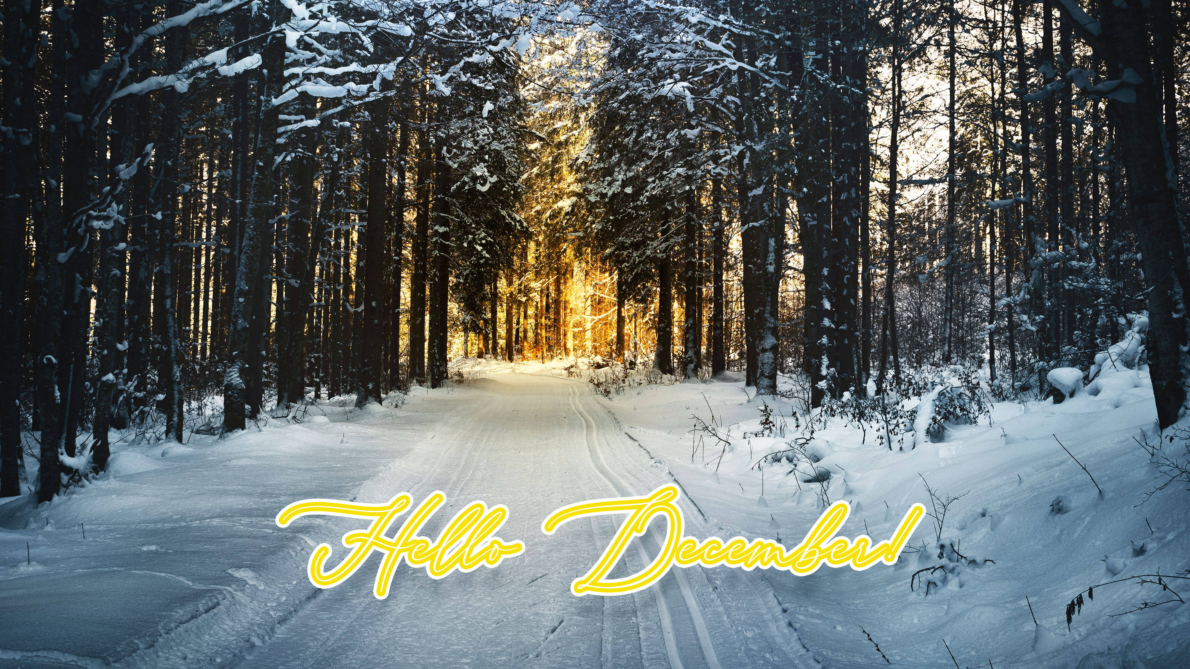 Hello December Pădure de Iarnă Fundal