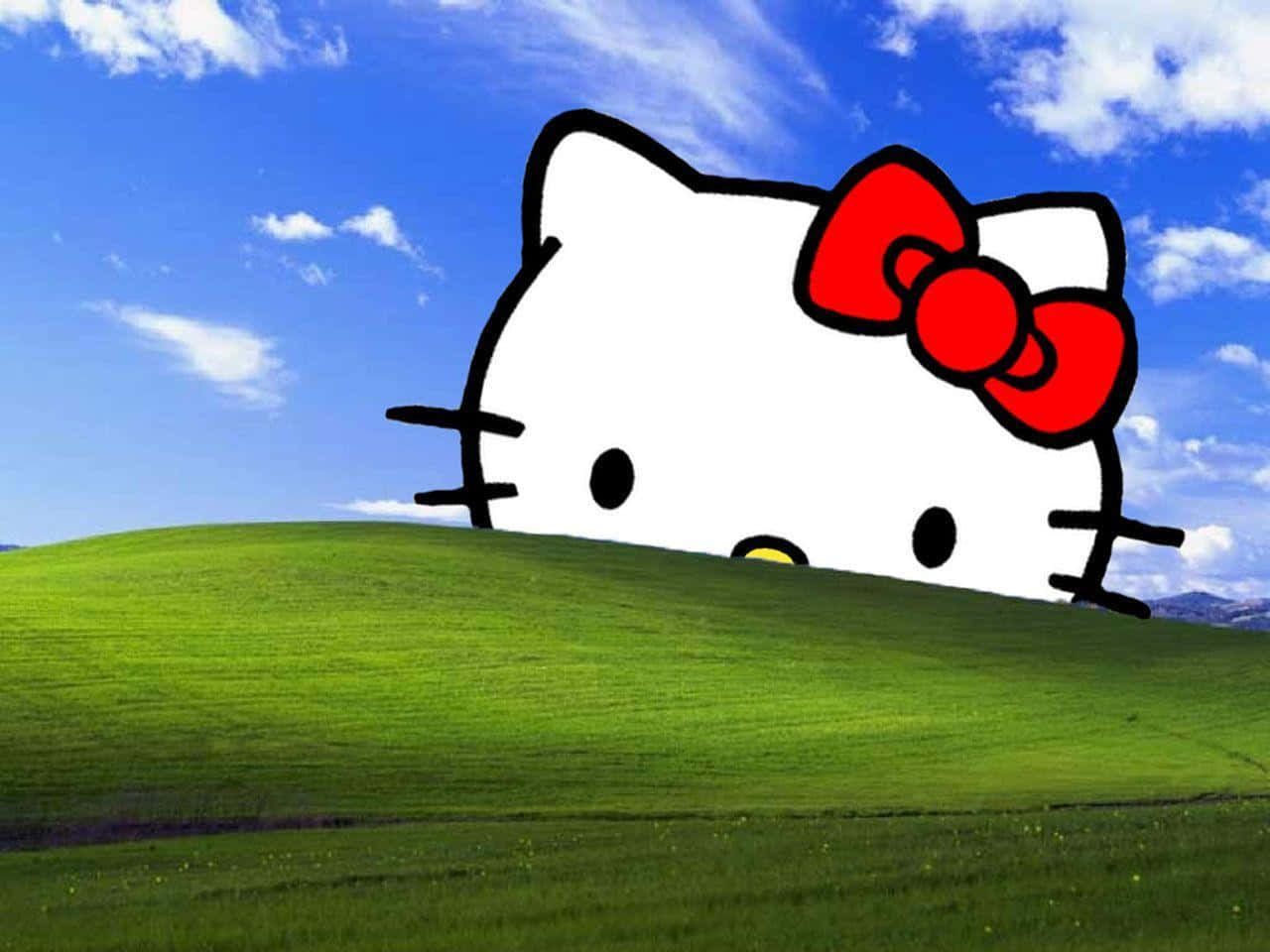 Hello Kitty Dealul Windows Fundal
