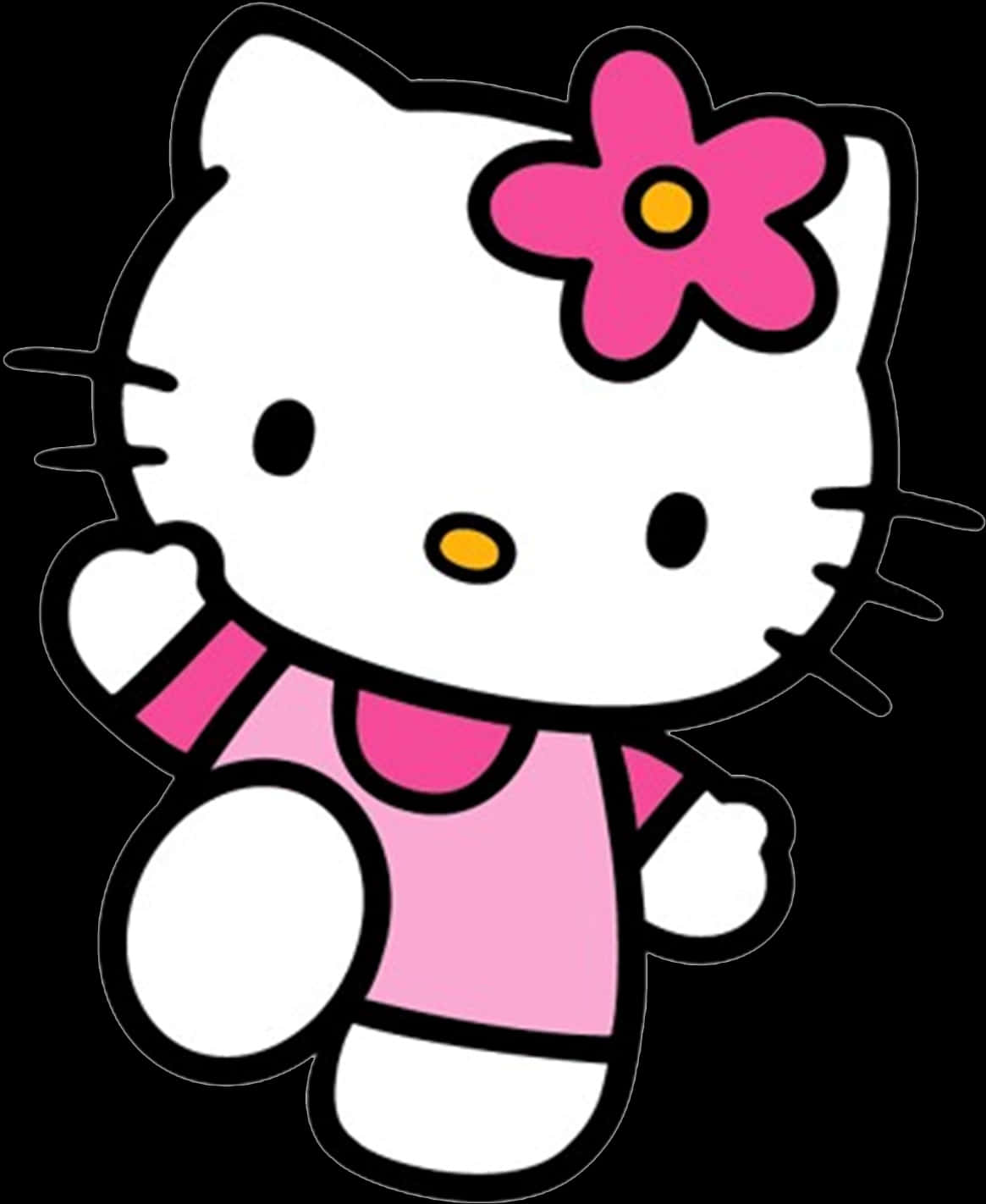 Hello Kitty Ținută Roz Floare Fundal