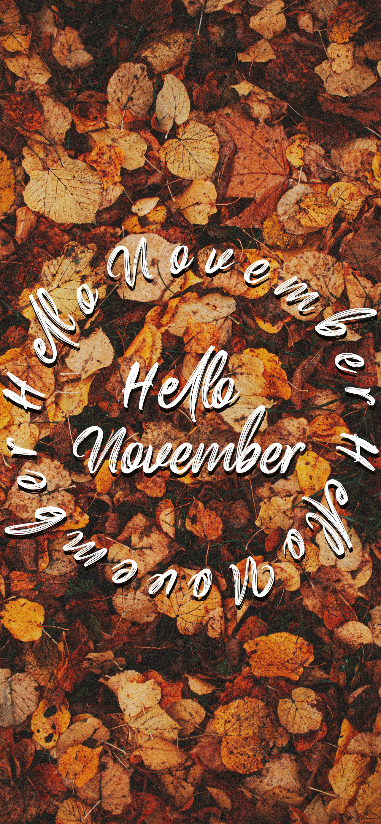 Hello November Pe Frunze De Toamnă Fundal
