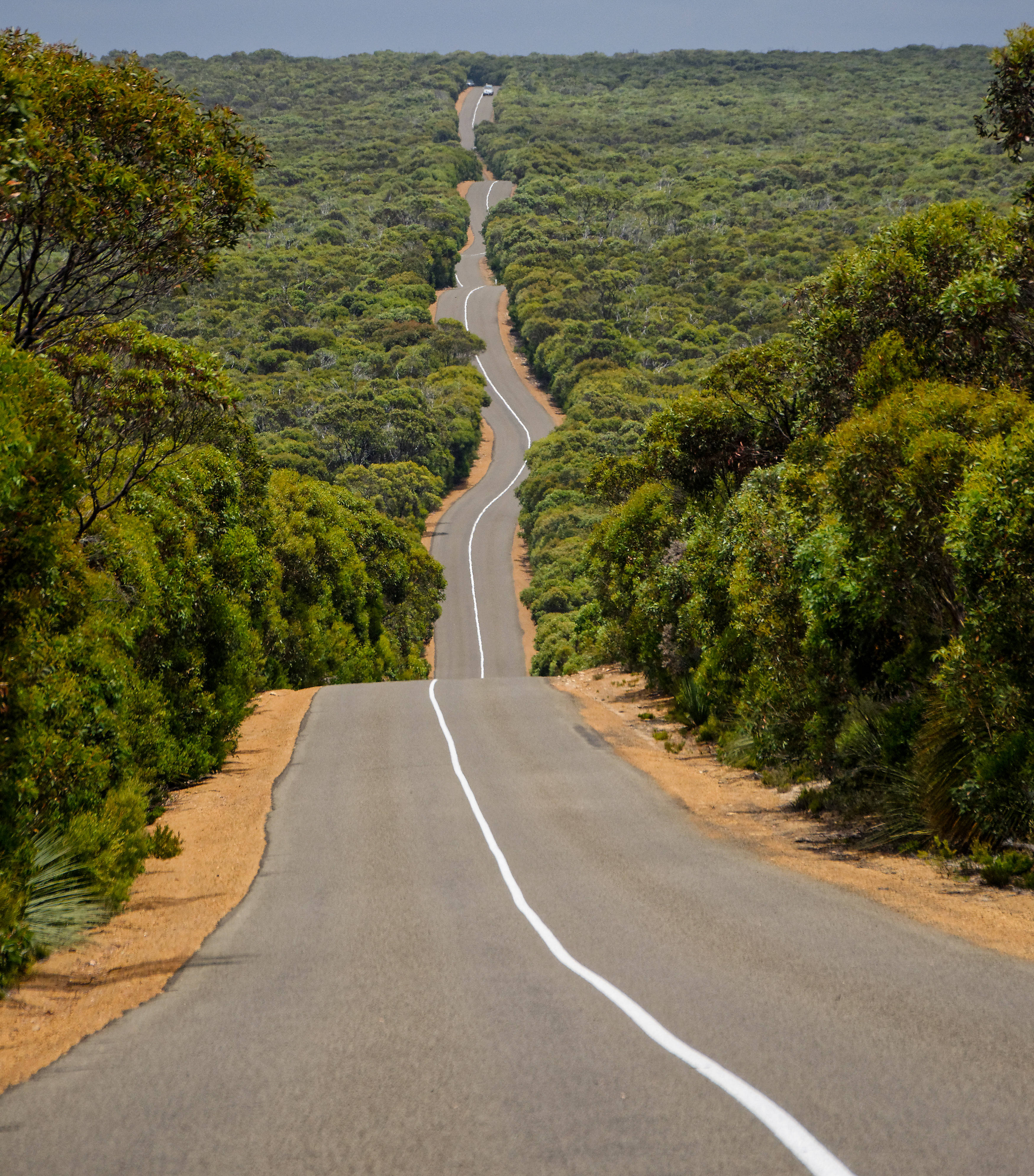 Highway 1 Of Australia Fundal