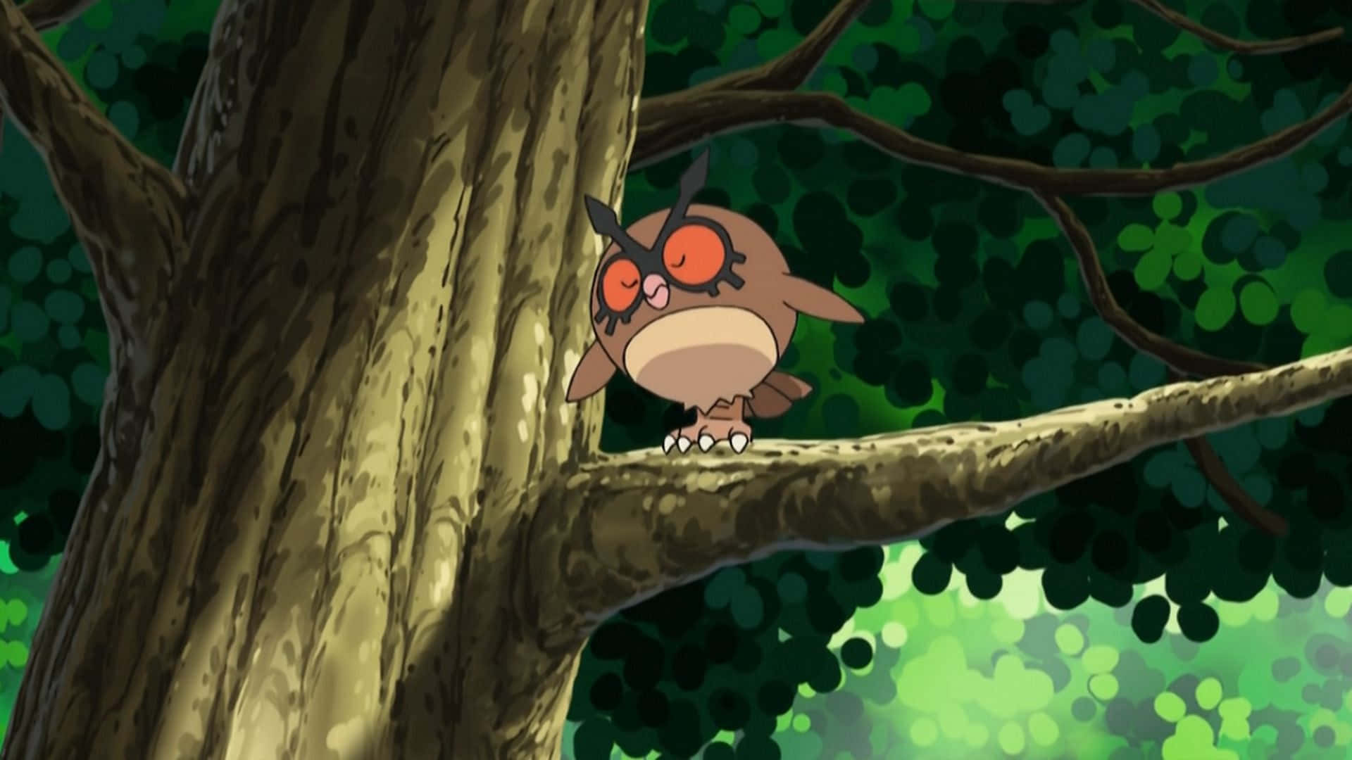 Hoothoot cocoțat pe o creangă de copac Fundal