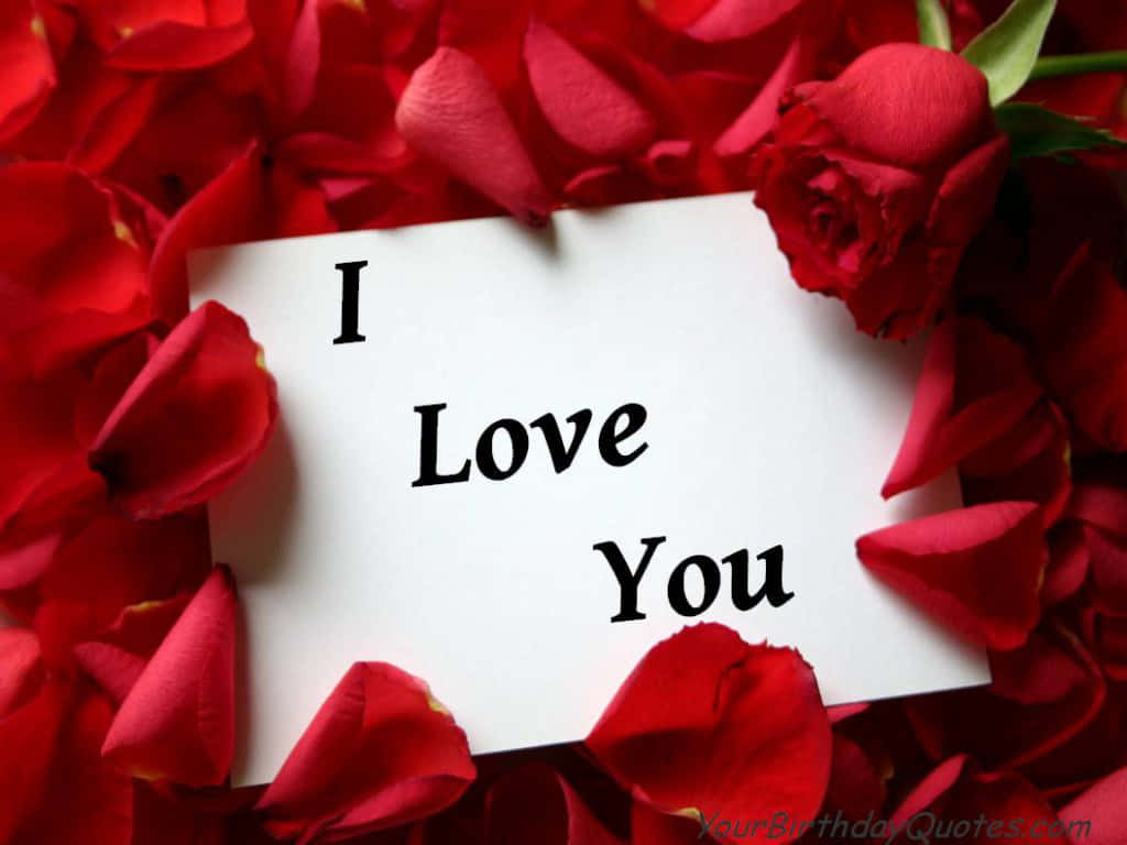 I Love You Flori Imagine Fundal