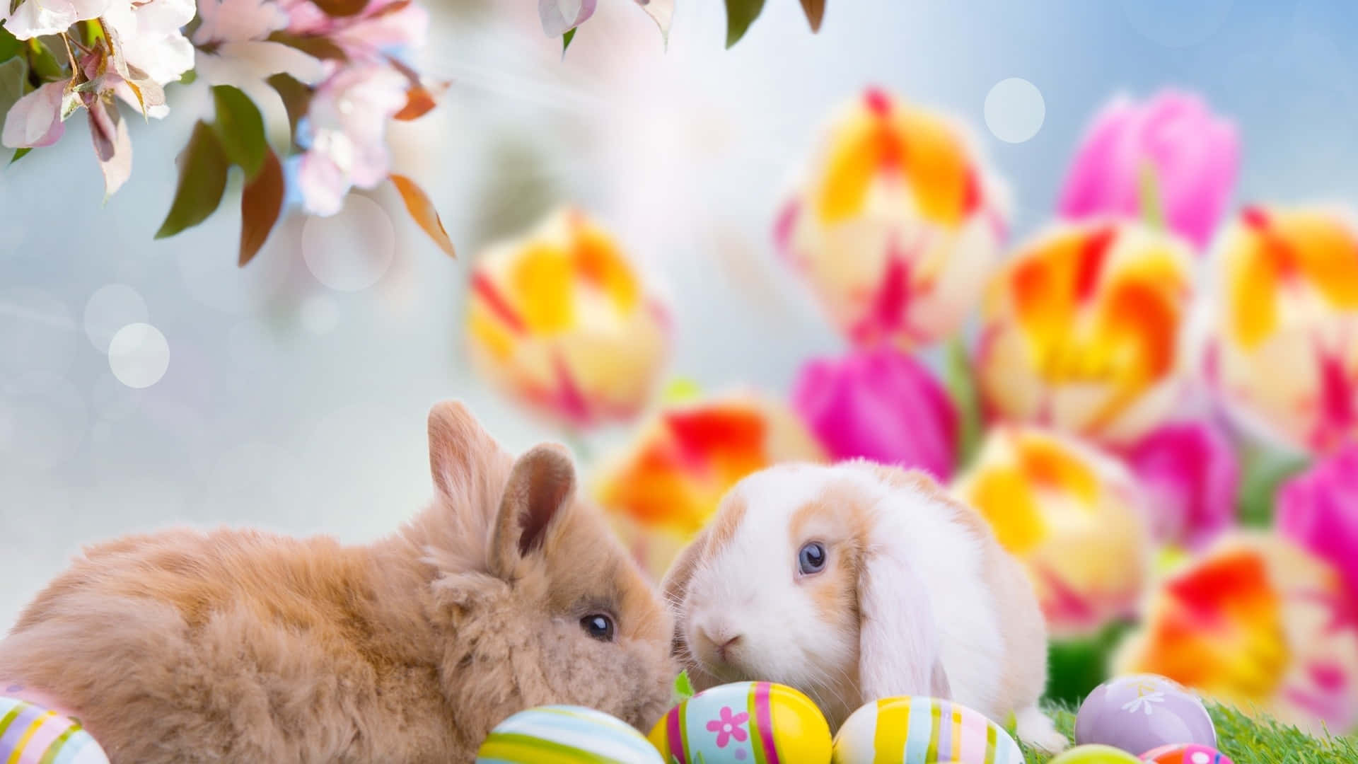 Iepurași de Paște adorabili și ouă colorate pe un fundal vibrant de primăvară Fundal