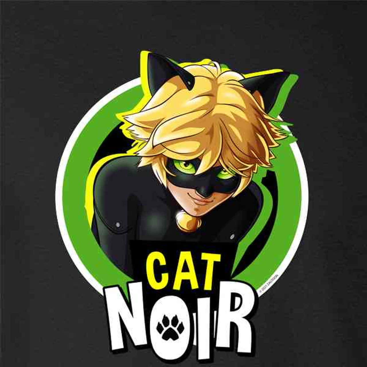„Îl prezentăm pe Cat Noir – o reinterpretare modernă a eroilor clasici pe care i-am îndrăgit!” Fundal