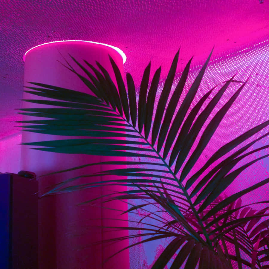 Iluminează-ți viața cu această estetică neon roz radiantă Fundal