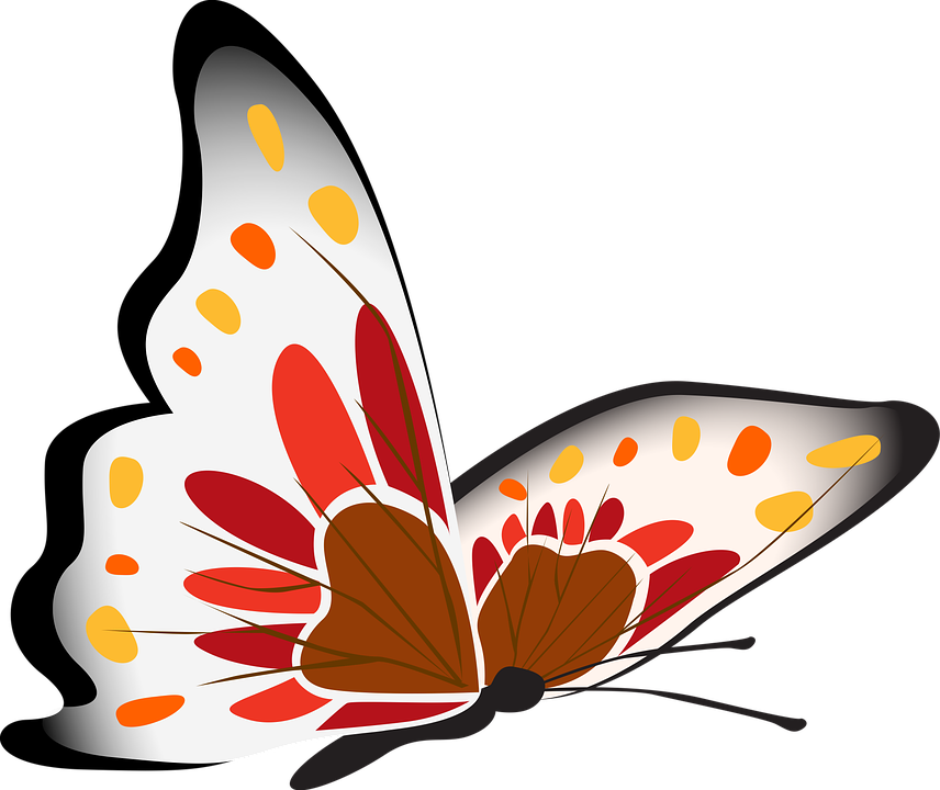 Ilustrație Colorată de Fluture Fundal