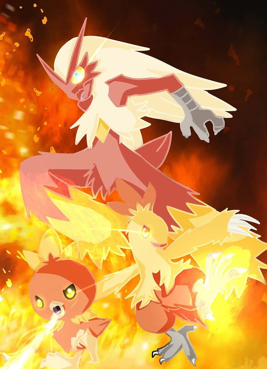 Ilustrație cu etapele de evoluție ale lui Torchic din Pokemon Fundal