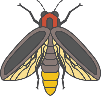 Ilustrație cu licurici_ Vector Fundal
