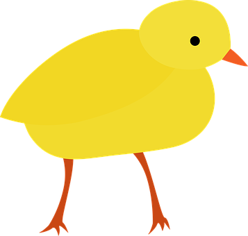 Ilustrație cu pui de găină galben desen animat Fundal