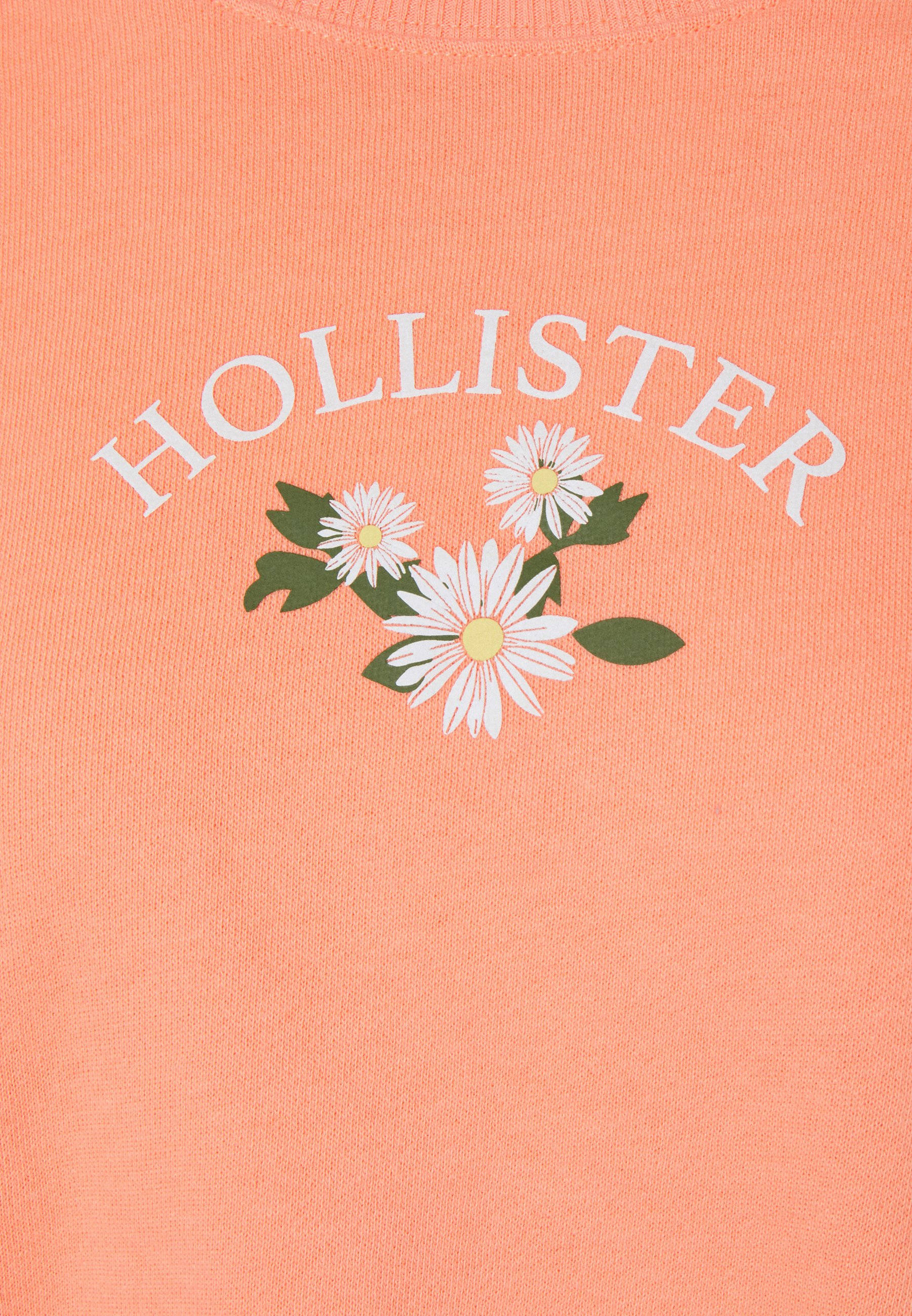 Ilustrație Hollister Trei Flori Albe Fundal