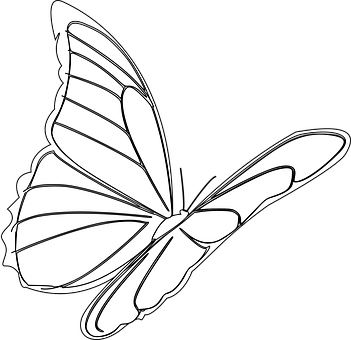 Ilustrație monocromă cu fluture Fundal