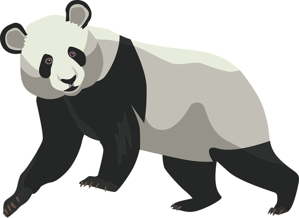 Ilustrație Panda Gigant Fundal