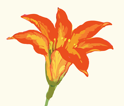 Ilustrație vibrantă cu o floare portocalie — Flori Fundal