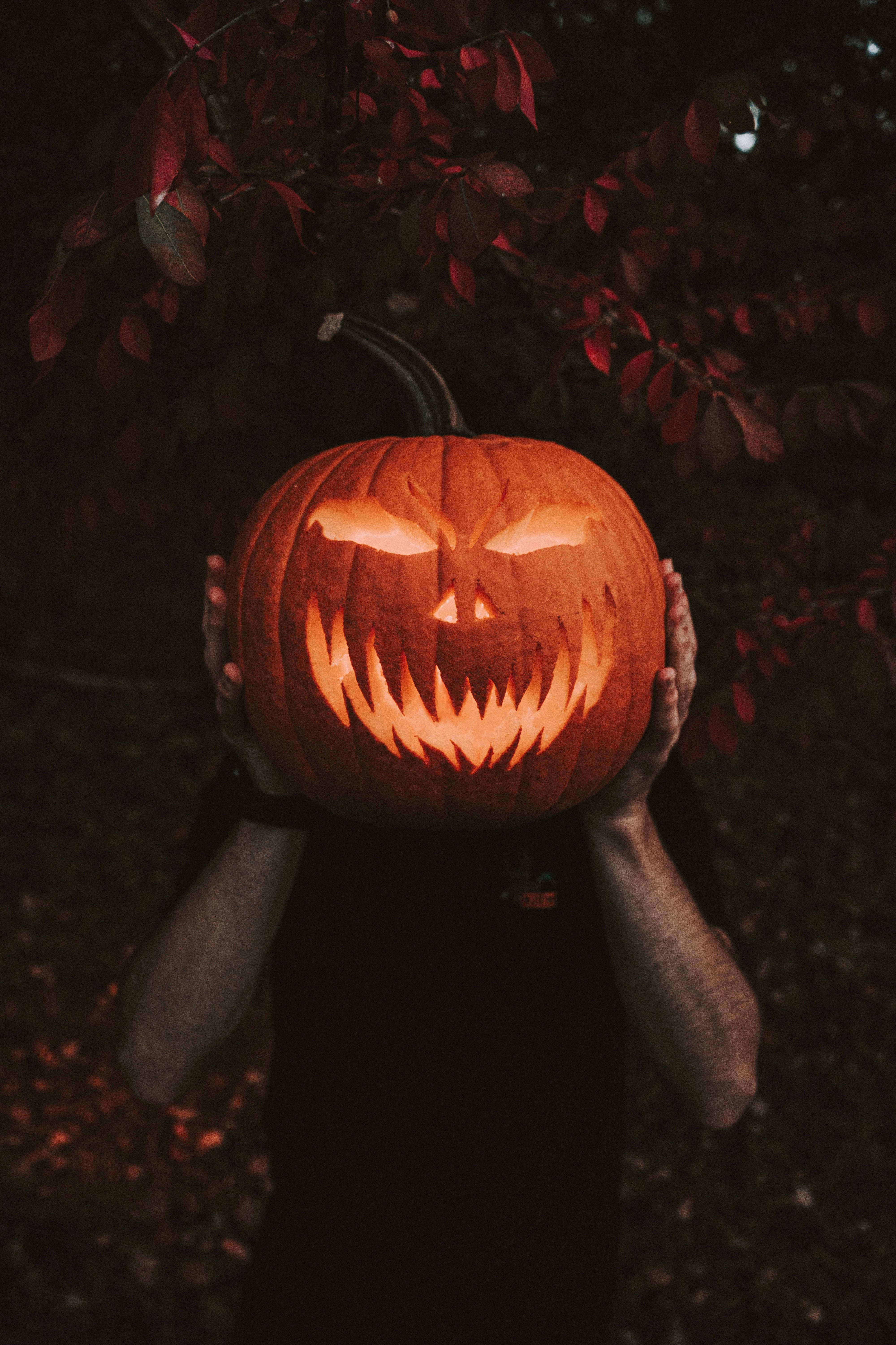 Imagine de dovleac de Halloween pentru telefon Fundal