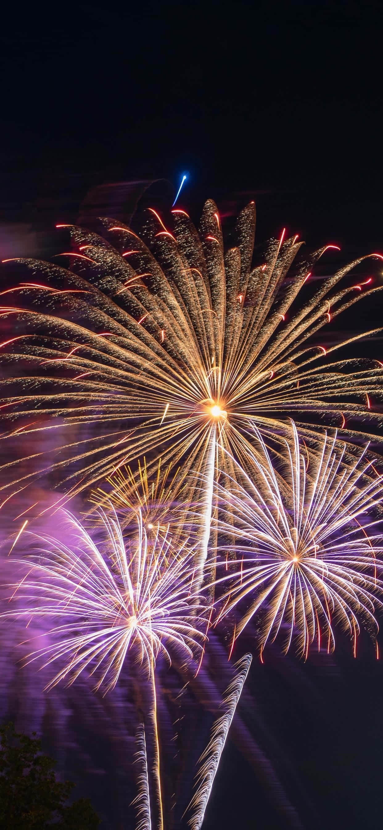 Imagine Focuri de Artificii Portocalii și Violet Nocturne Fundal