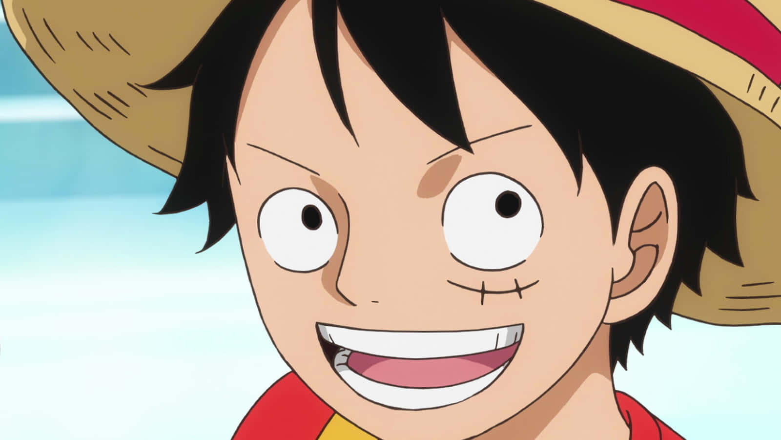 Imagine Monkey D. Luffy, după ce și-a aflat destinul de Rege al Piraților. Fundal