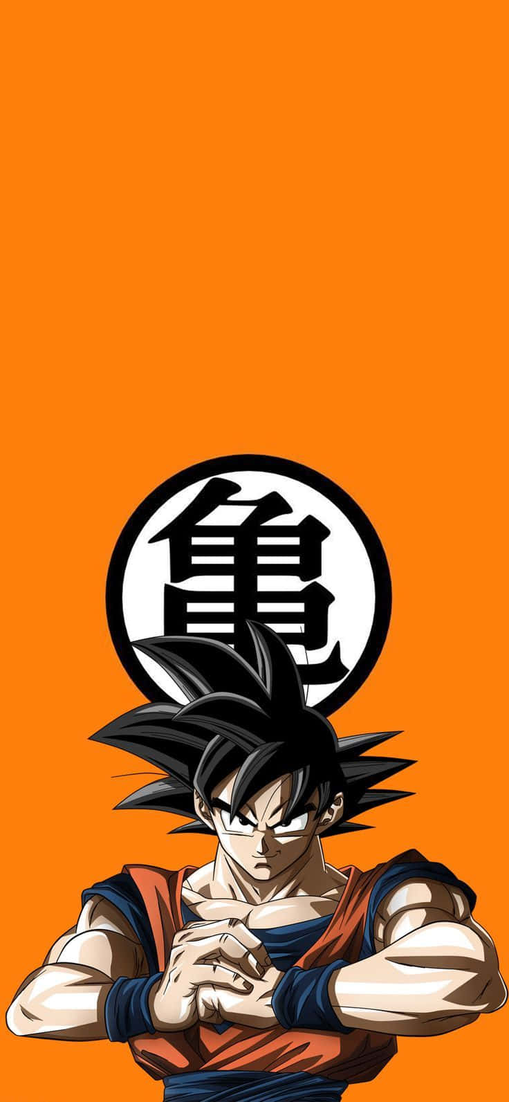 Imagine Portocalie Dragon Ball Z Fundal