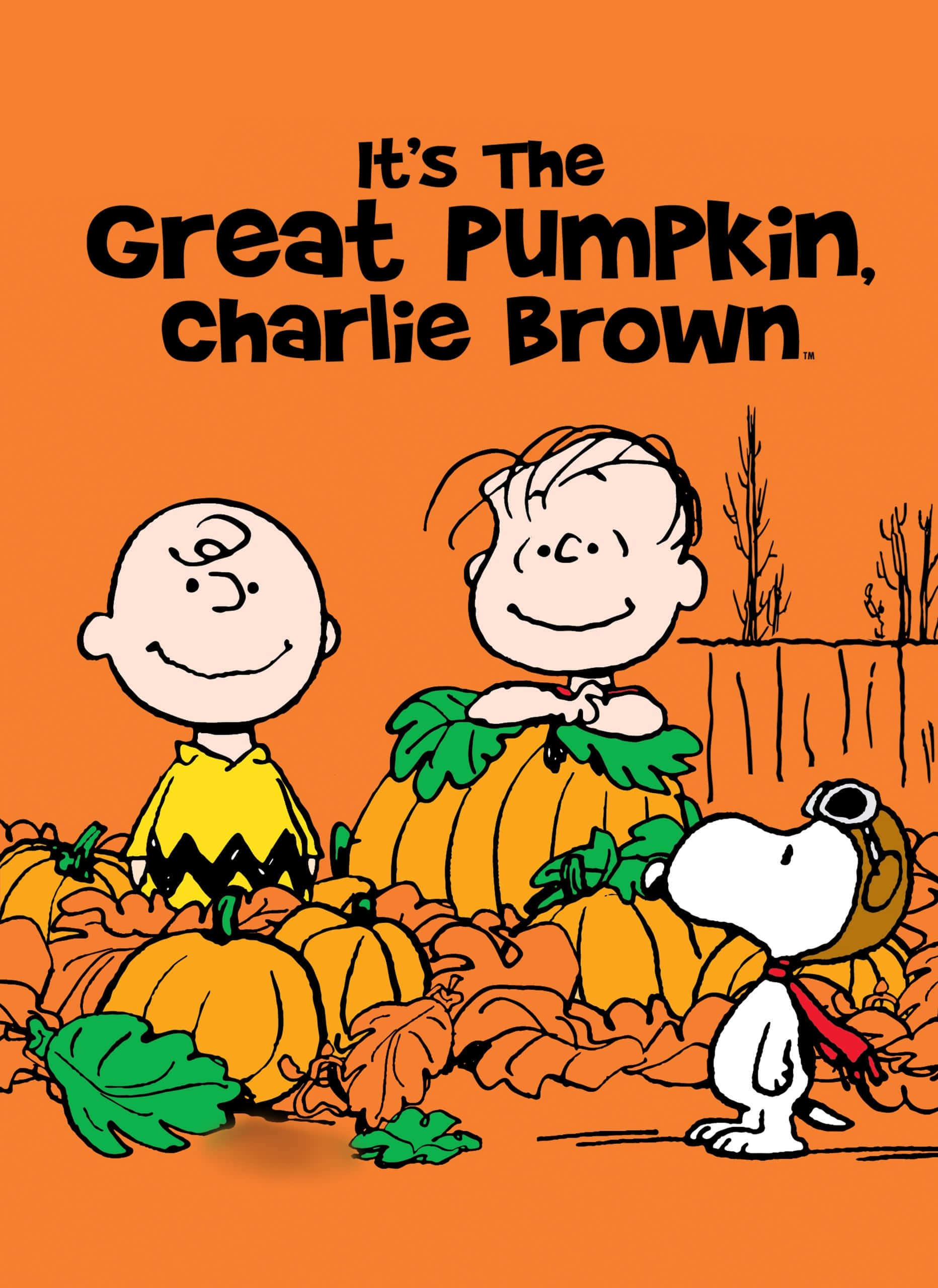 Imagini Charlie Brown de Halloween Fundal