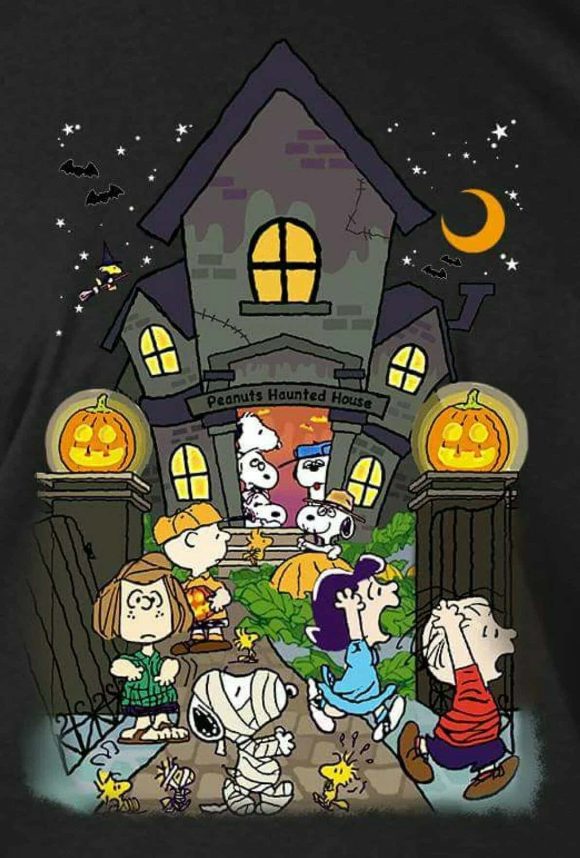 Imagini Charlie Brown de Halloween Fundal