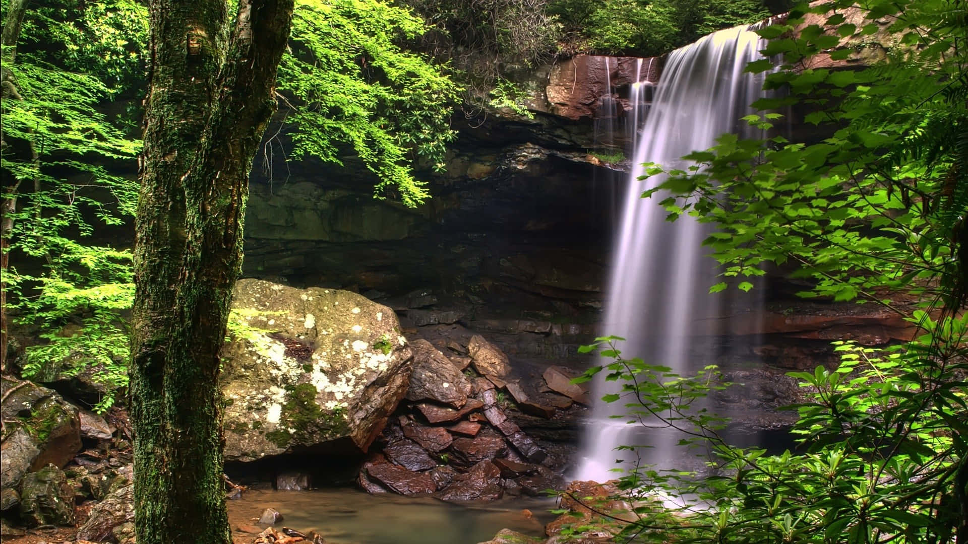 Imagini cu cascade Fundal