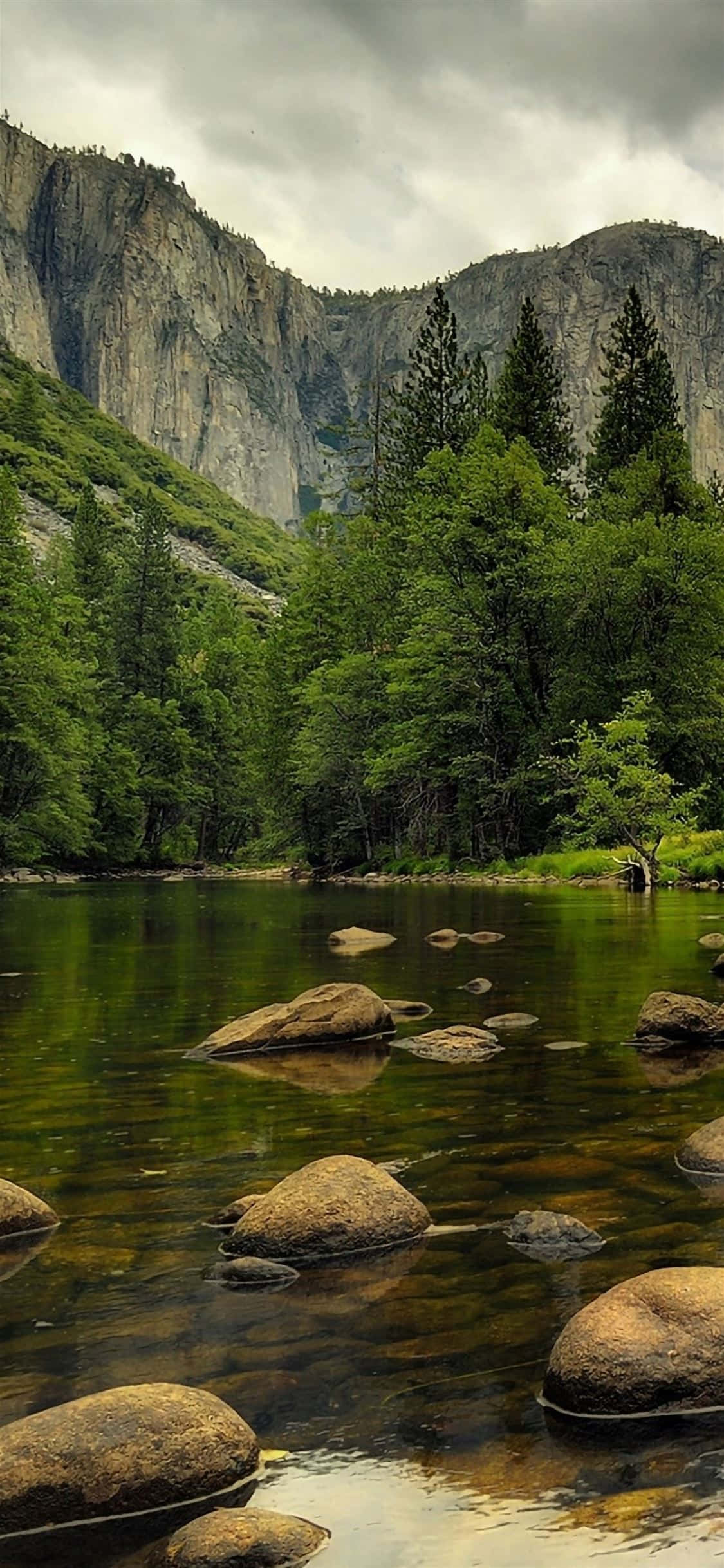 Imagini frumoase cu natura Fundal