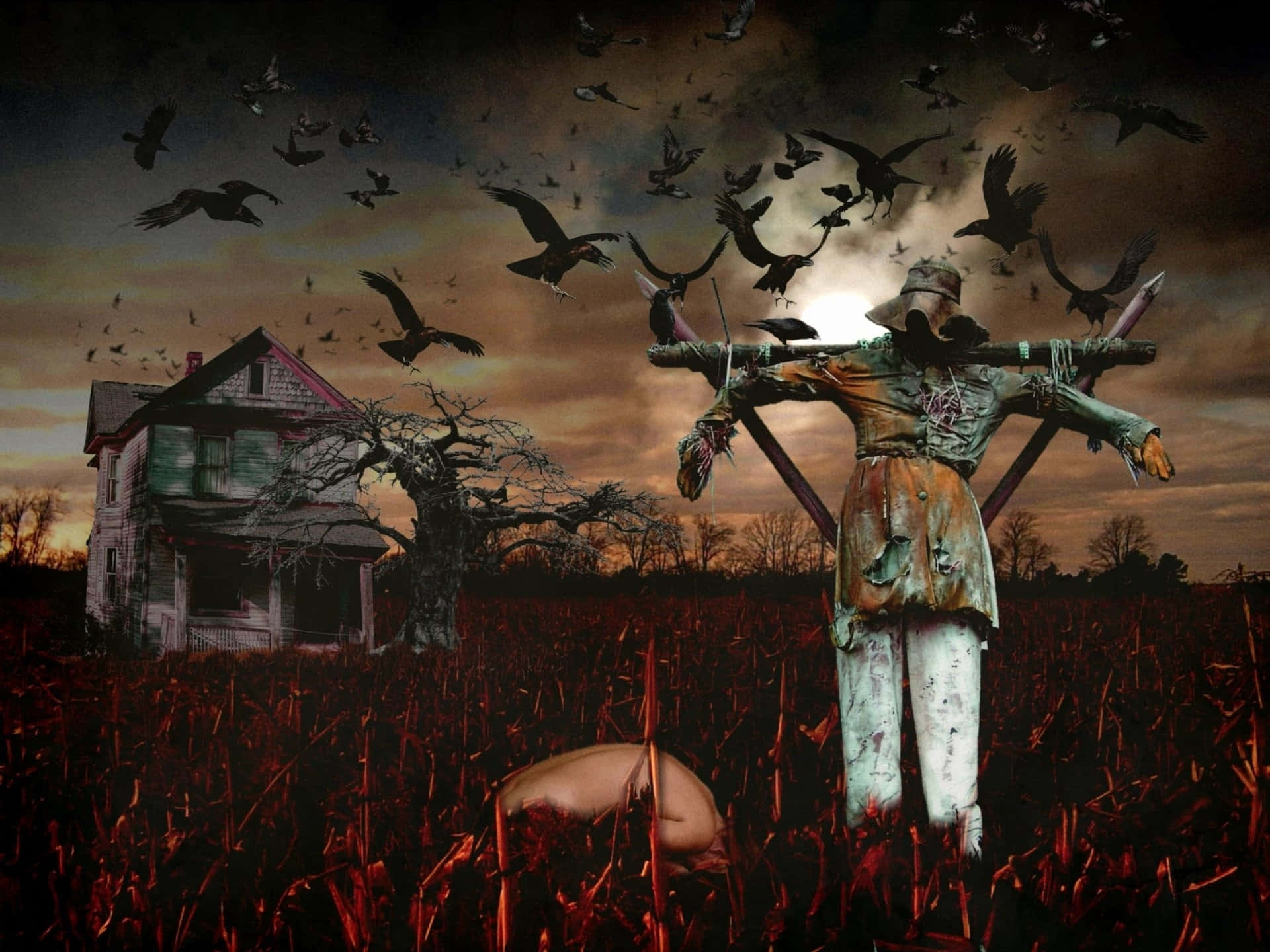 Imagini înfricoșătoare de Halloween Fundal