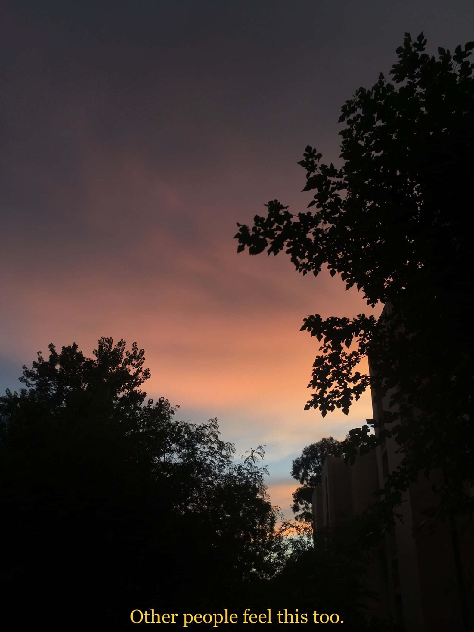 Îmbrățișând trecutul prin filtrul grunge vintage Fundal