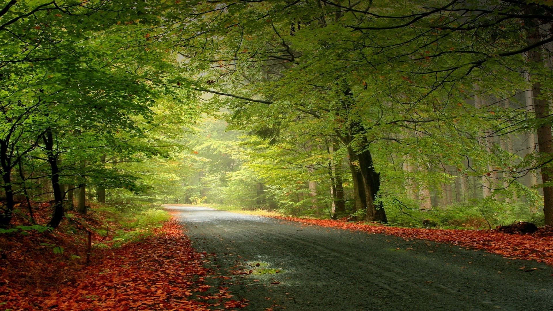 Îmbrățișează schimbarea anotimpurilor cu un stil de viață unic și ecologic Fundal