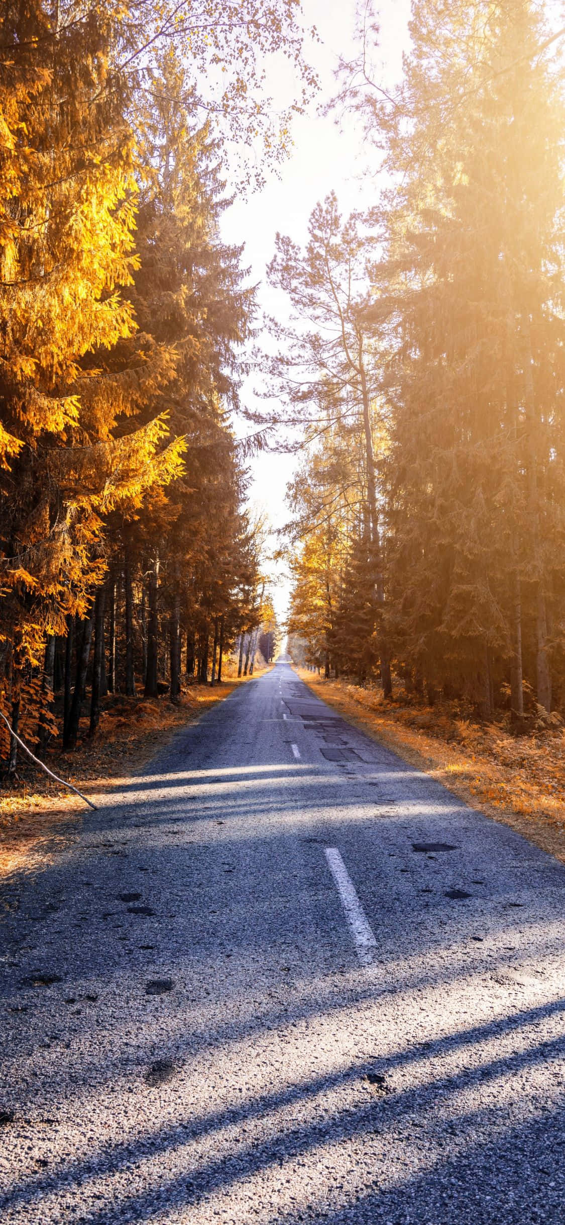 Îmbrățișează Seninătatea - Fundal Natură iPhone X Fundal