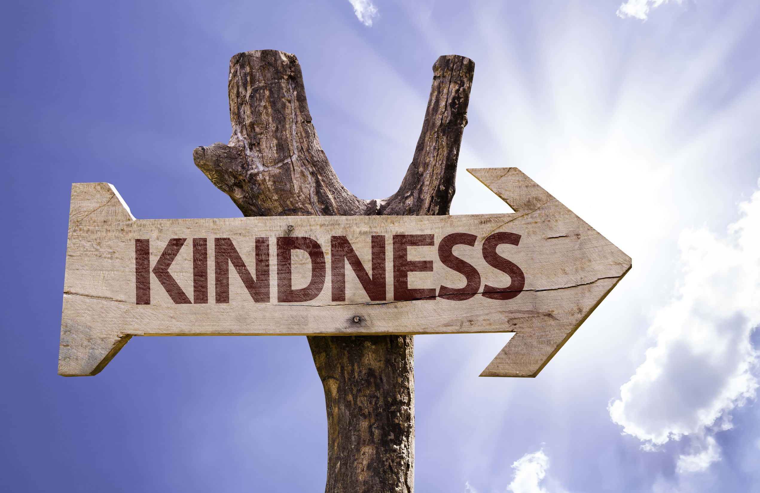 Indicator din Lemn cu Mesajul „Kindness” Fundal