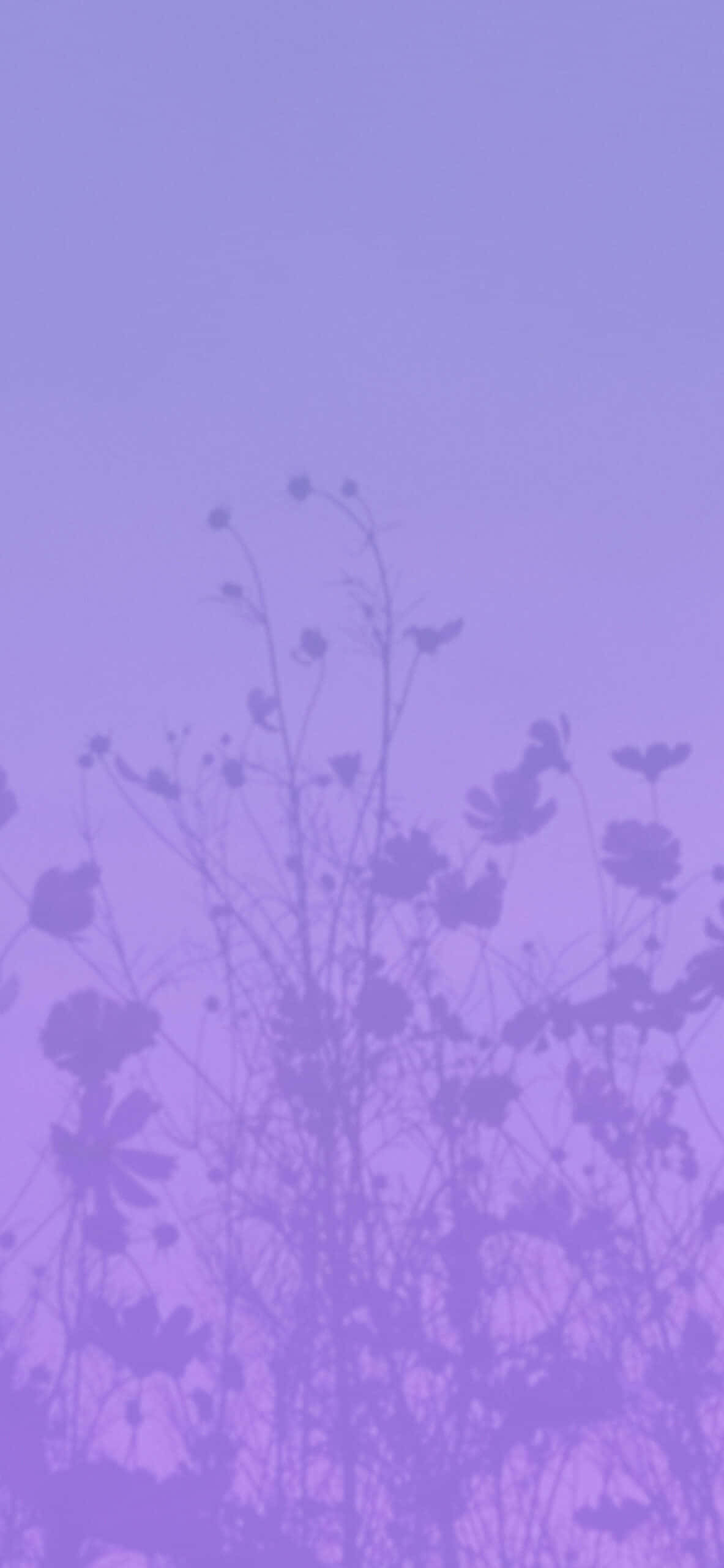 Înflorește în Violet Estetic Fundal