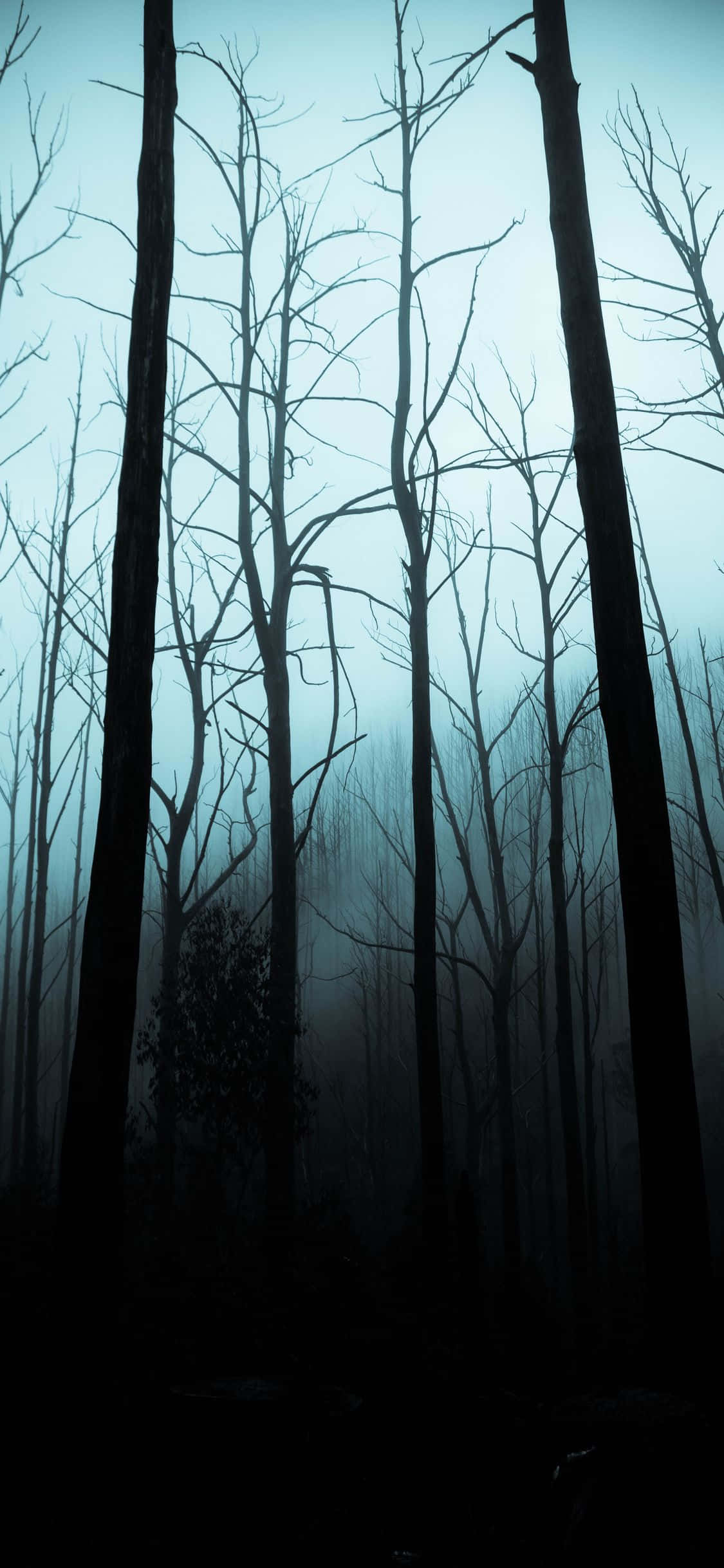 Intră în spiritul de Halloween cu acest wallpaper personalizat pentru iPhone Fundal