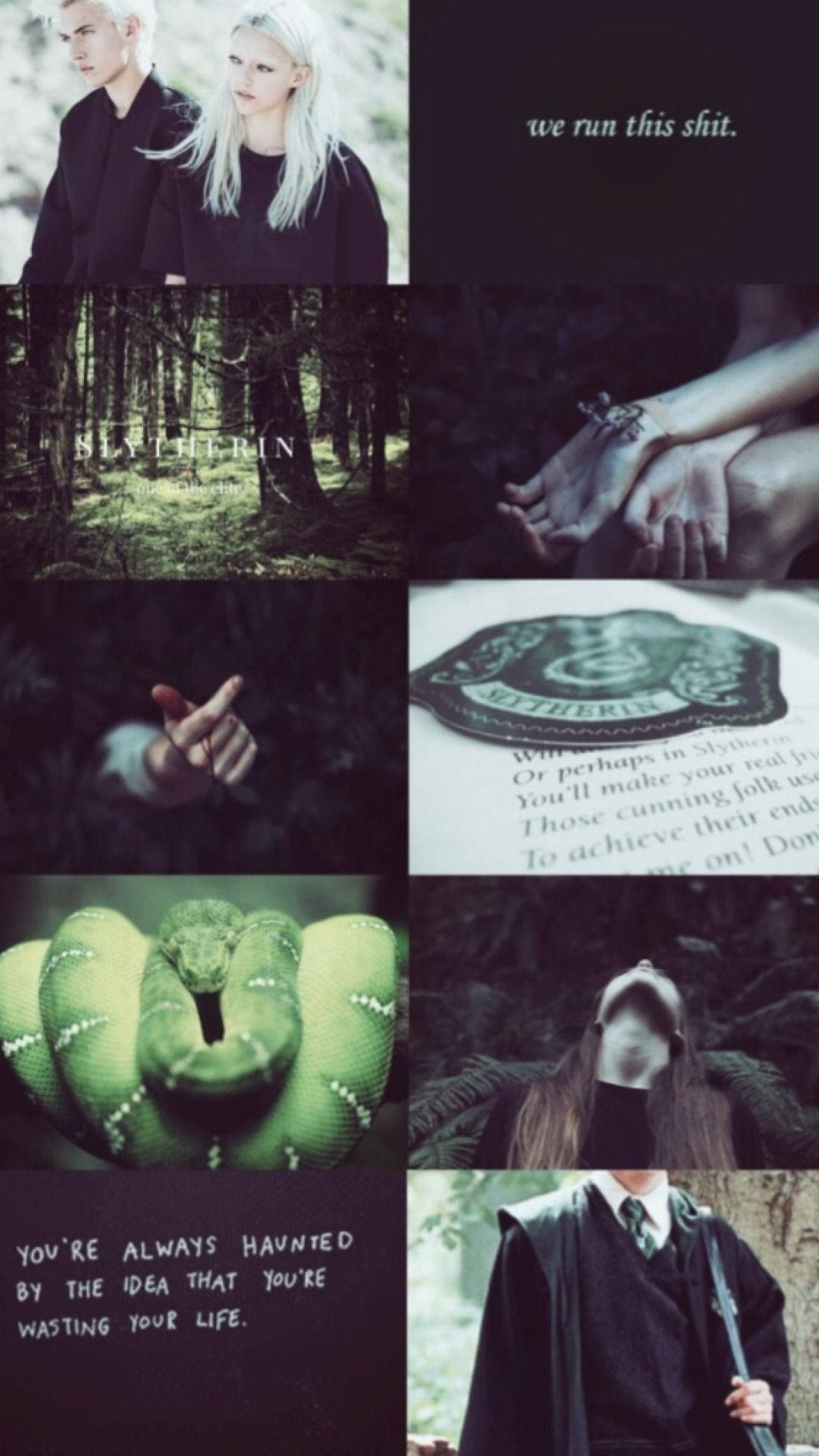 Intrare estetică Draco Malfoy Slytherin cuplu Fundal