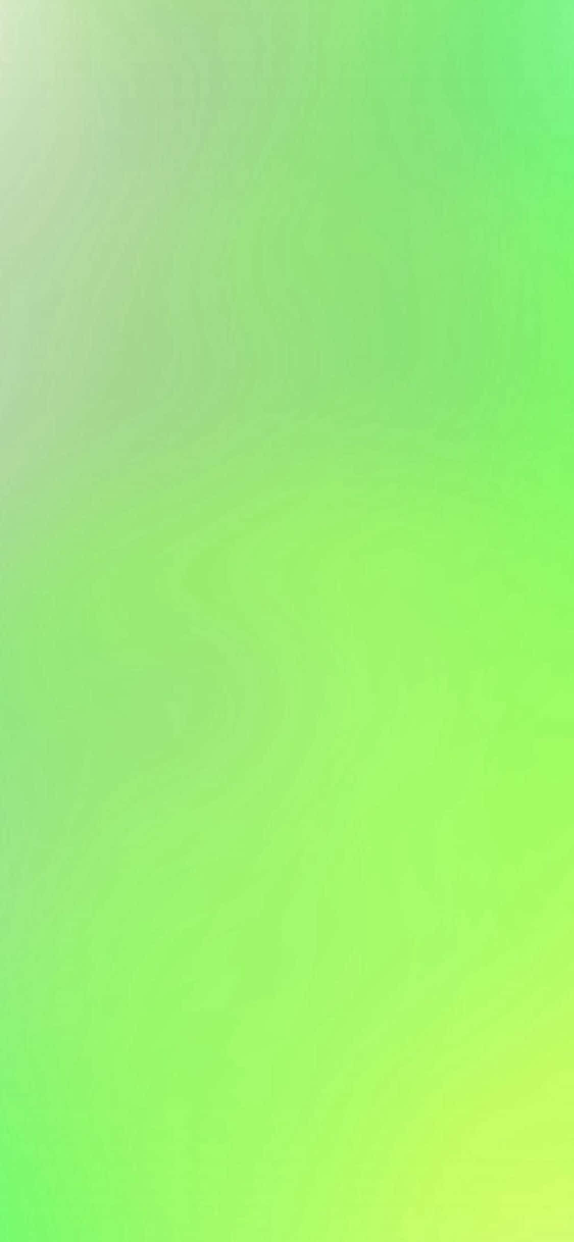 iPhone 11 Verde Proaspăt Fundal