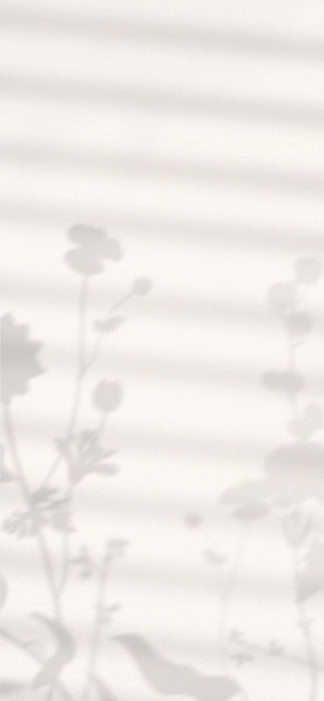 Fundal iPhone X Minimalist Cu Umbre De Flori Fundal