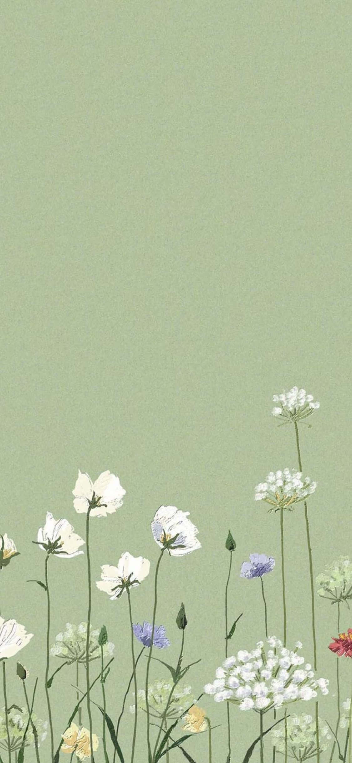 iPhone X Minimal Estetic Fundal Verde de Gradină Fundal