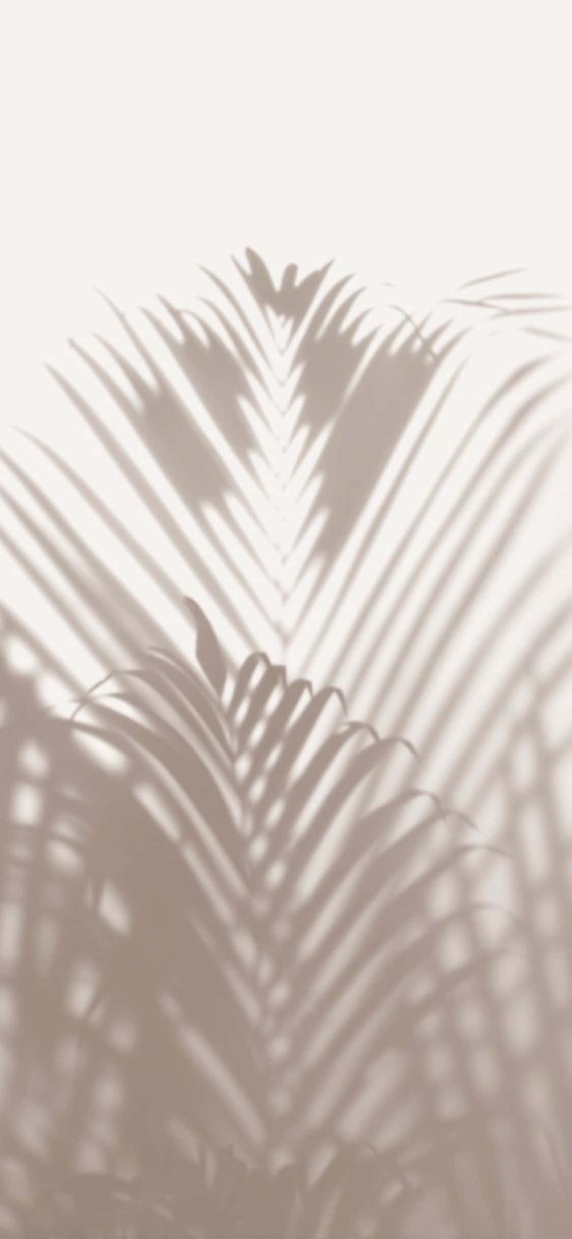 iPhone X Minimal Fundal Umbra Frunze de Palmier Fundal