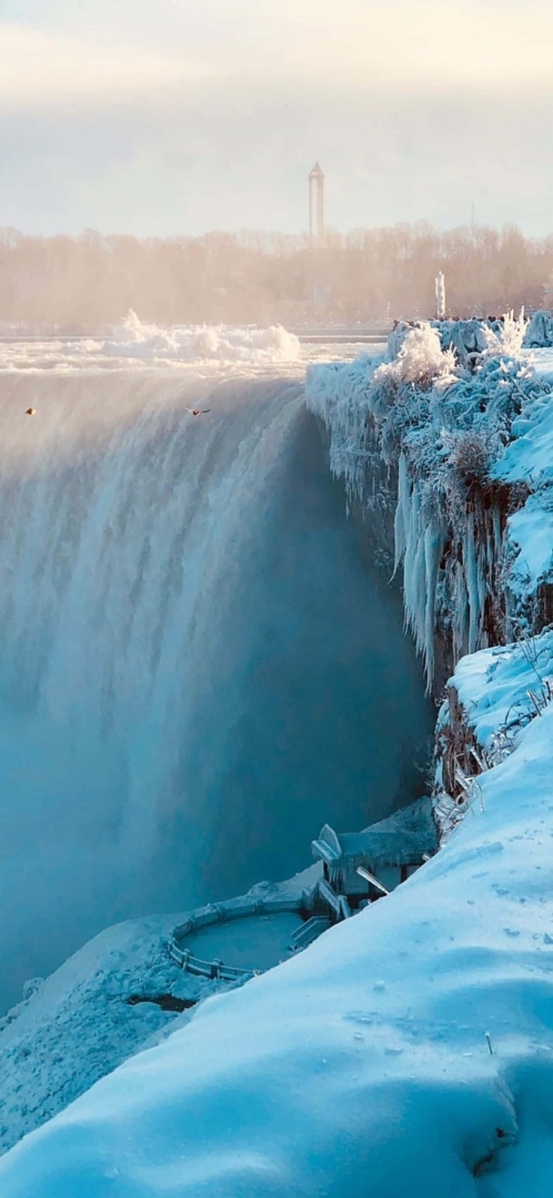 Fundal iPhone X Cascada Niagara Sezonul Iernii Fundal